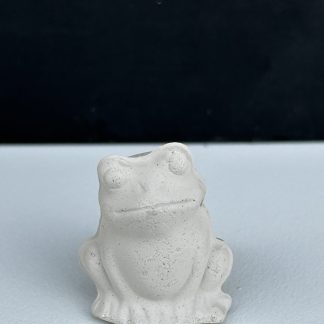 Tiny Frog Sitting
