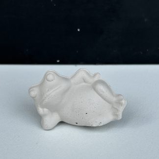 Tiny Frog 1