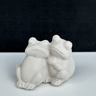 Tiny Frog Couple