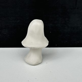 Mushroom 1