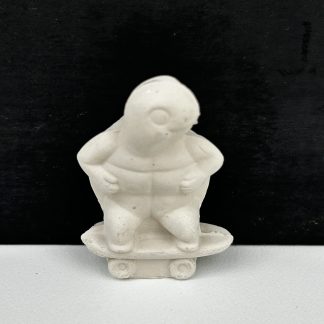 Turtle on a skate board