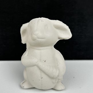 Rabbit With Carrot