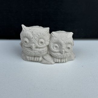 Two Owls On Log